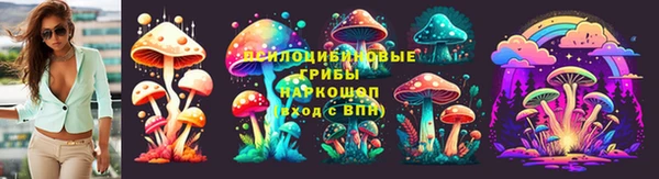 прущая мука Пересвет