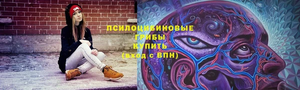 прущая мука Пересвет