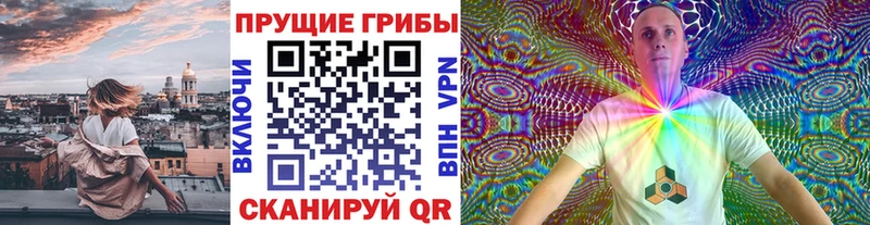 Галлюциногенные грибы Psilocybe  Купить  Саранск 